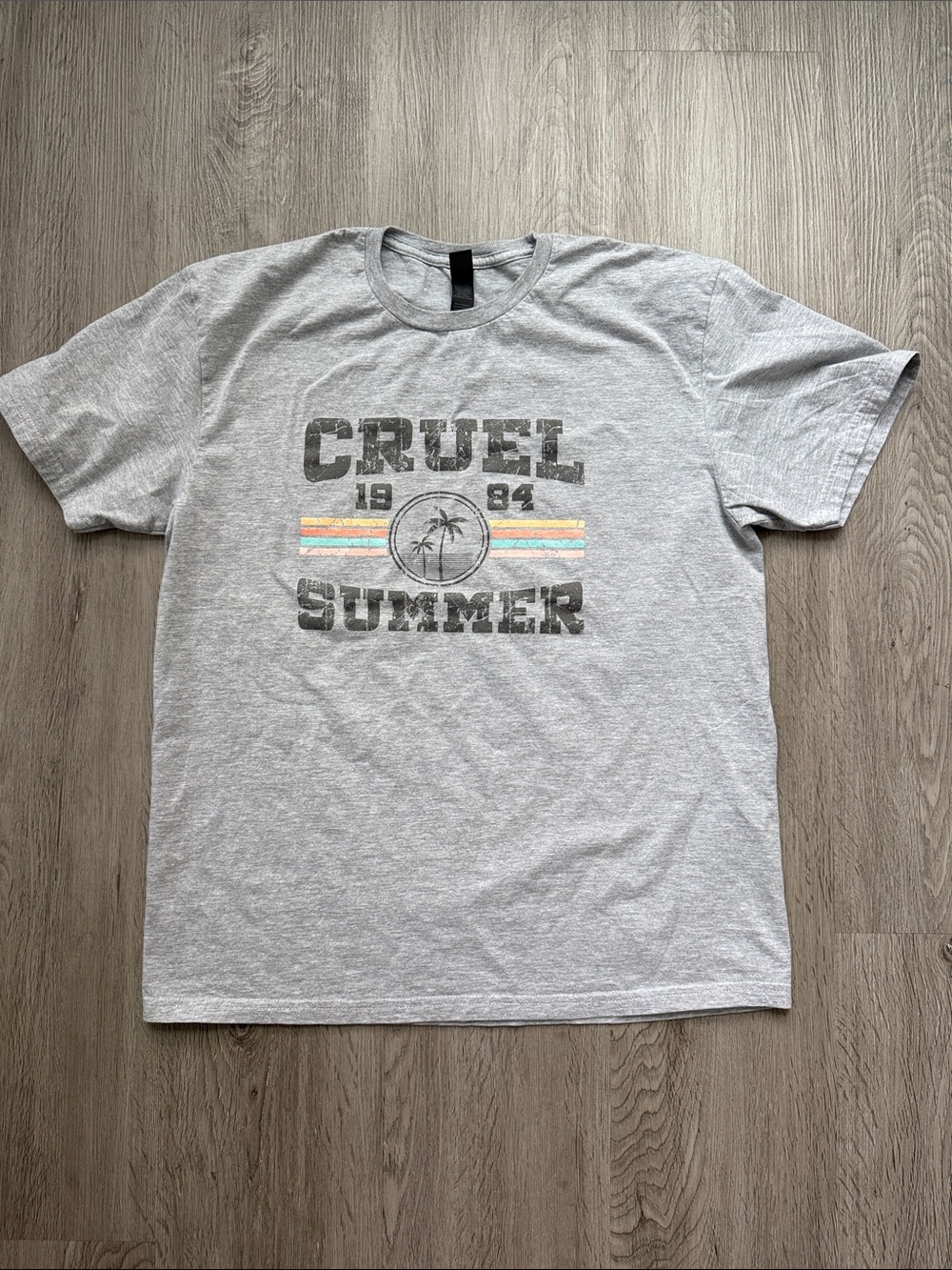 Gildan Gray 'Cruel Summer' Graphic Tee with Pastel Stripes